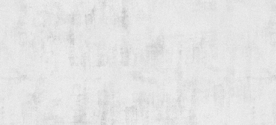 Bangor Security Services