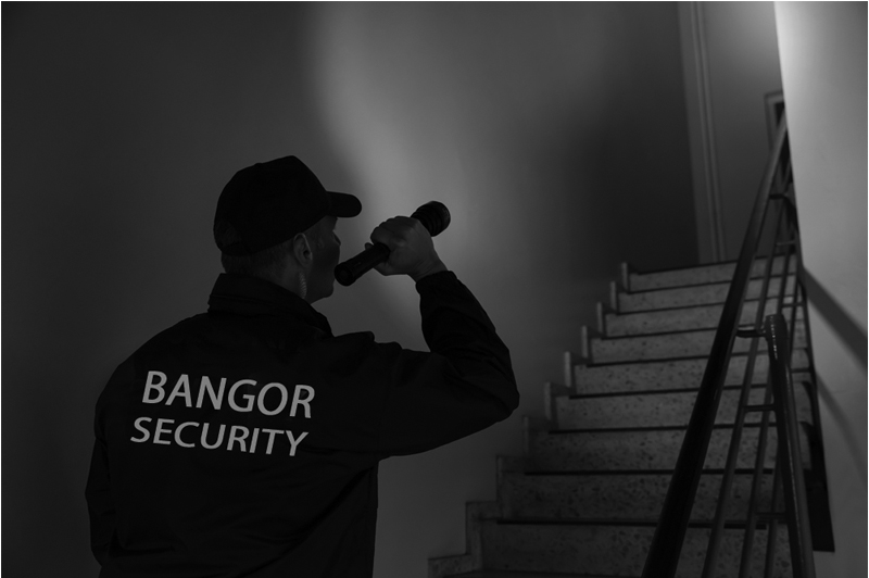 Bangor Security Services