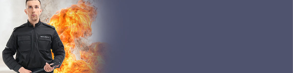 Bangor Security Services