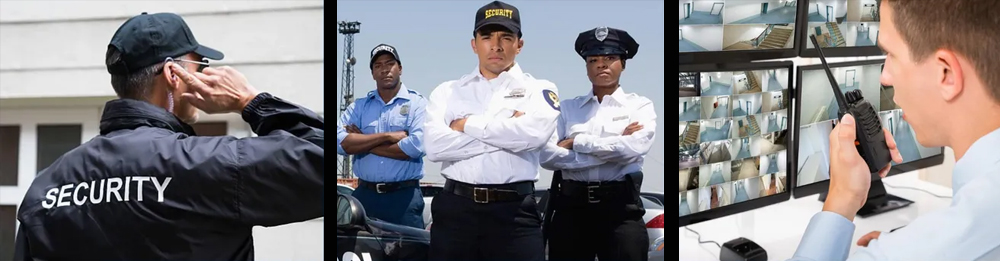 Bangor Security Services