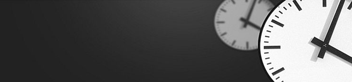 Bangor Security Services